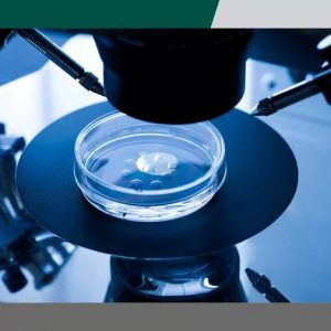 IVF